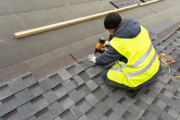 Best Metal Roofing Contractor  in Webberville, MI