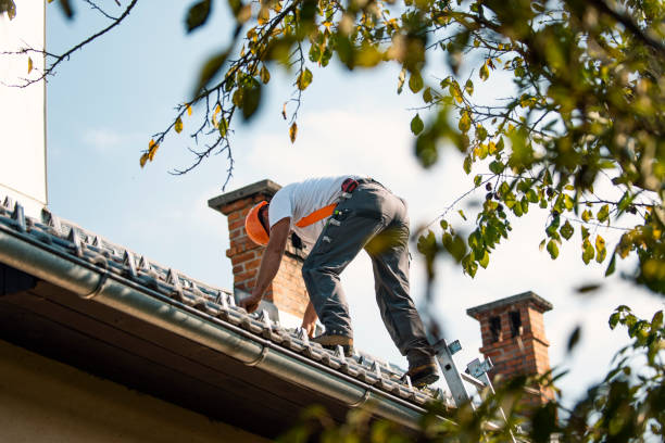 Best Residential Roofing Contractor  in Webberville, MI