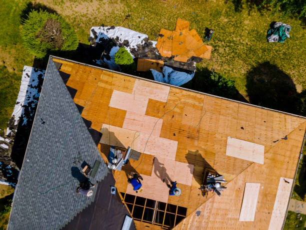 Best Roof Repair Services  in Webberville, MI