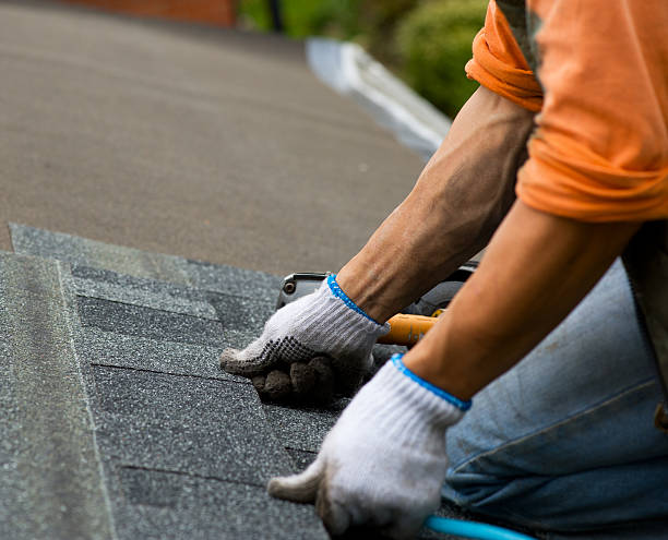 Best Emergency Roof Repair  in Webberville, MI