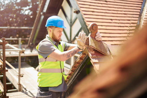 Best Roof Waterproofing Services  in Webberville, MI
